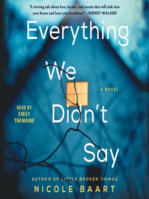 cover image of Everything We Didn't Say